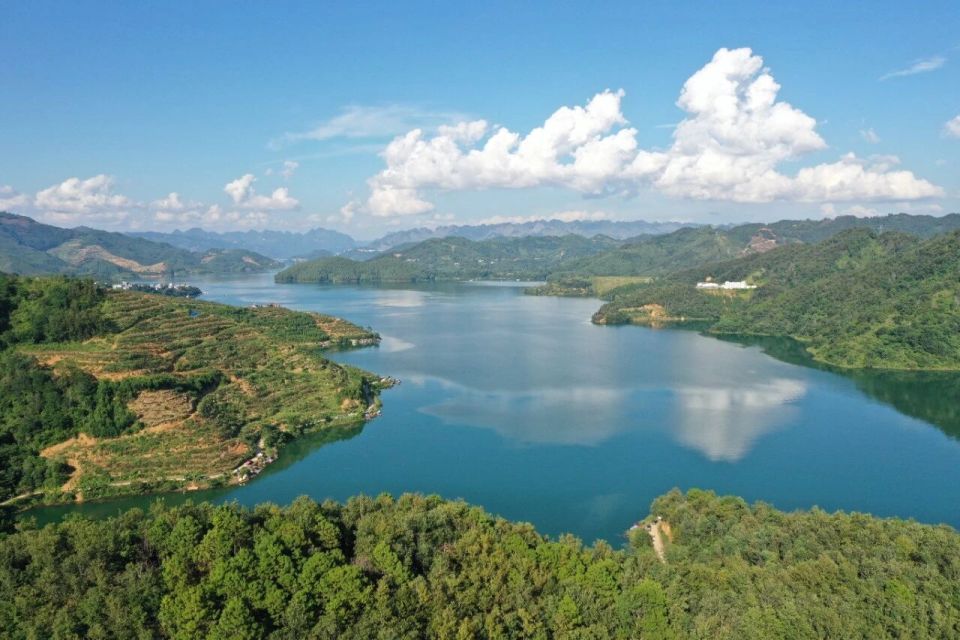 有效鱼种, text, font 有效鱼种, text, font